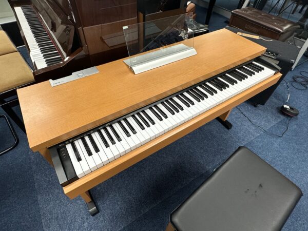 Panasonic SX-NP10