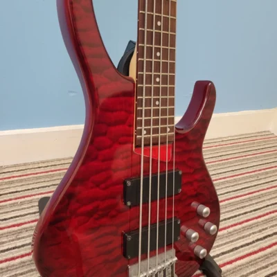 Peavey Grind 5 NTB - 5 String Bass Guitar