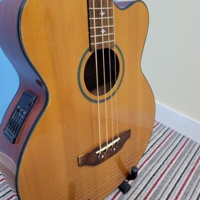 Ozark 3385N Professional Electro-Acoustic Bass