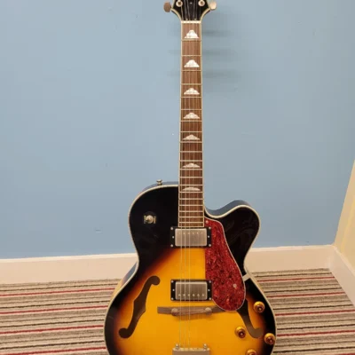 Acepro Archtop Electric Jazz Guitar