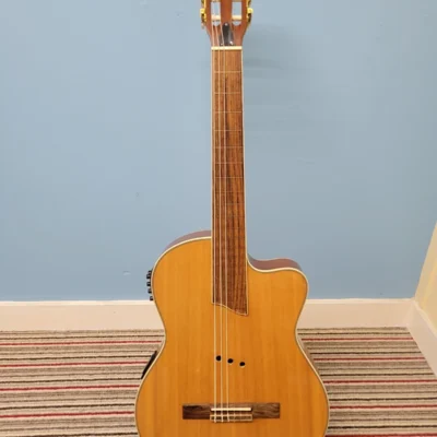 Electro-Acoustic Fretless Classical Guitar