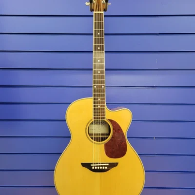 Fairclough Nightingale Electro-Acoustic Guitar