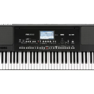New Korg PA300