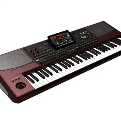 New Korg PA1000