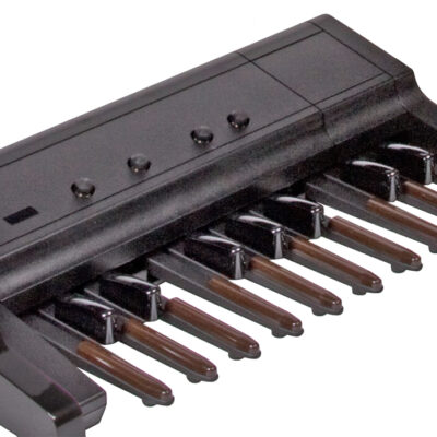 17-note bass pedals